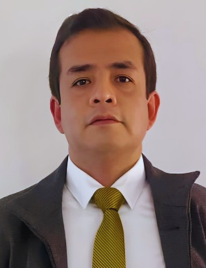 Pedro Castellares - Metalurgista
