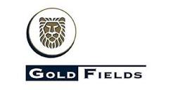 gold fields